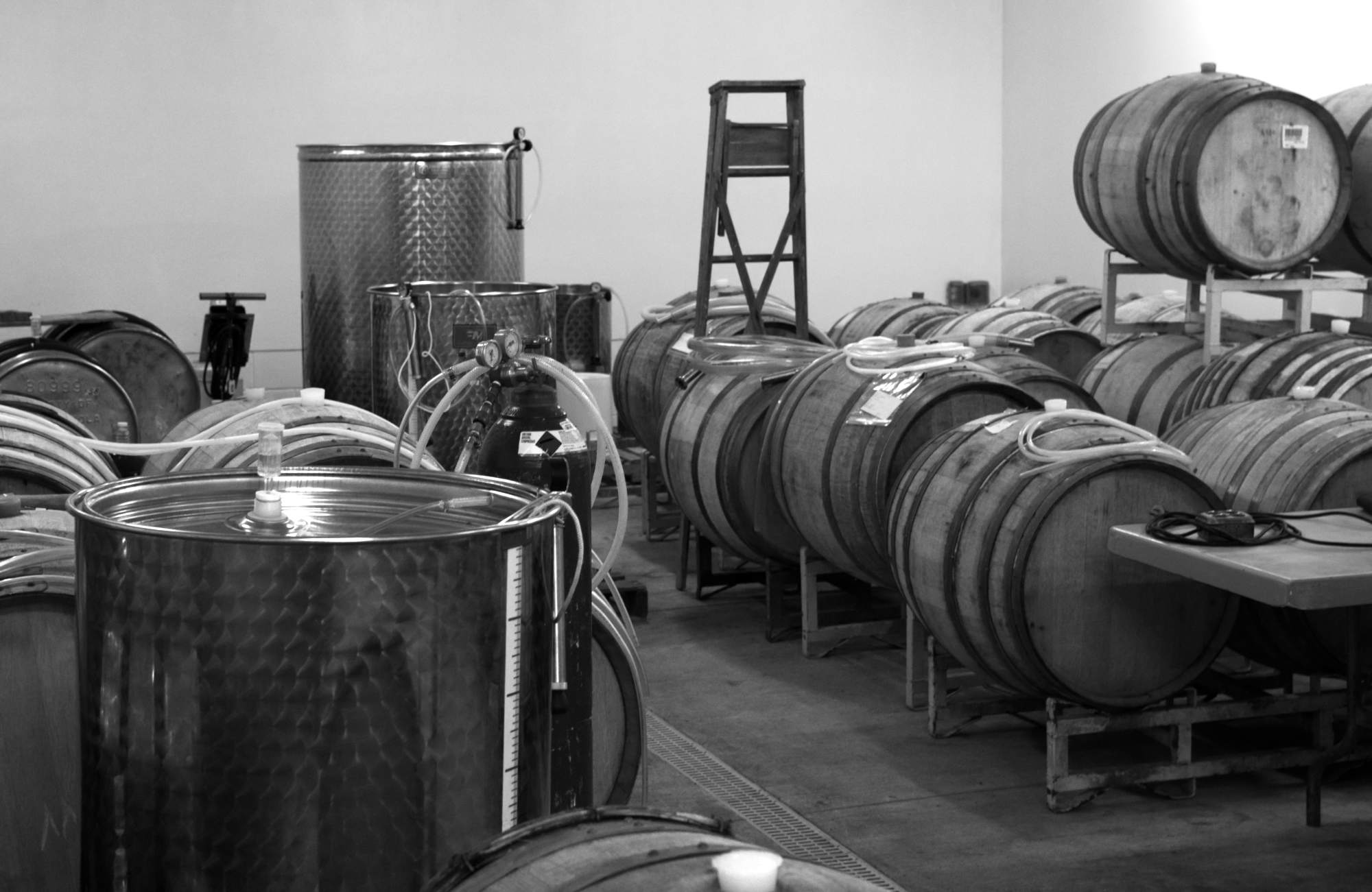 Wine barrels in the wine making room